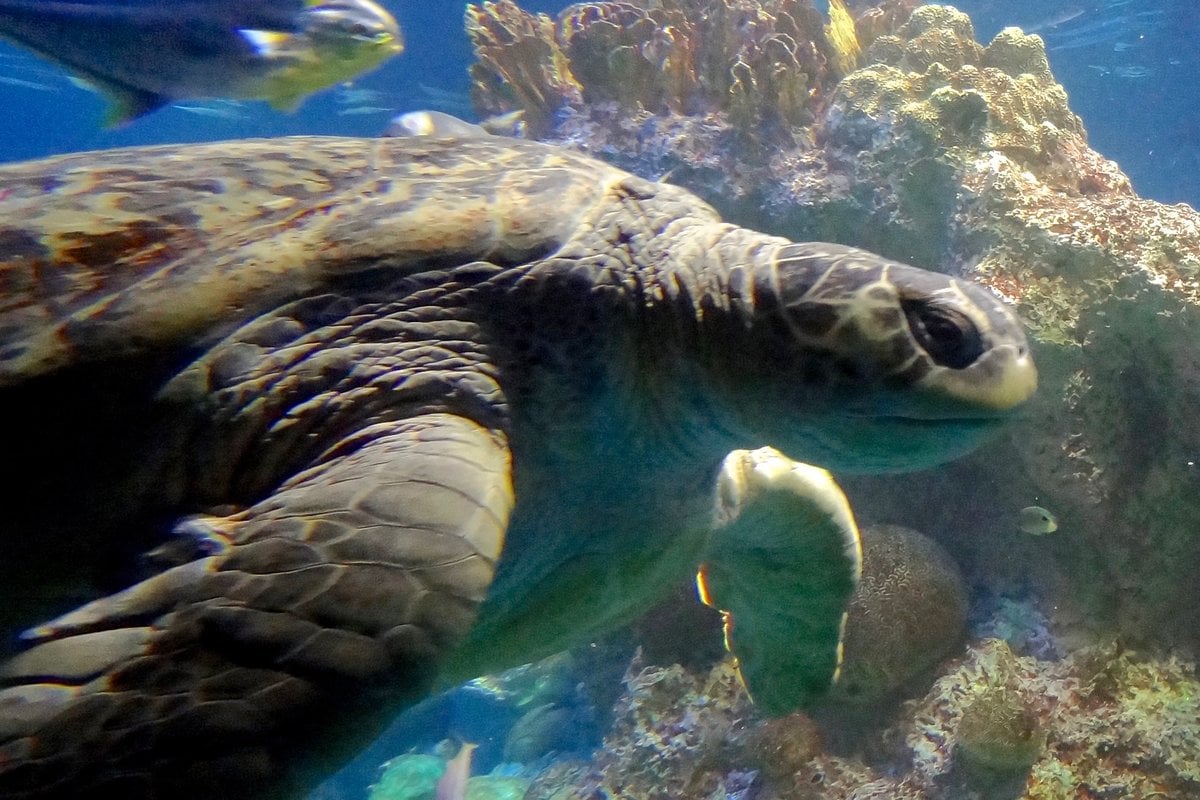 New England Aquarium - Gallery Image 2